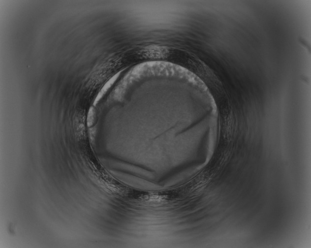 X0000100500553200807031943