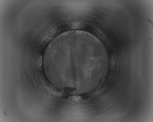 X0000100500554200807031943