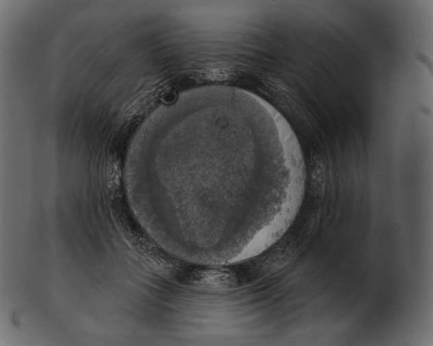 X0000100500555200807031943