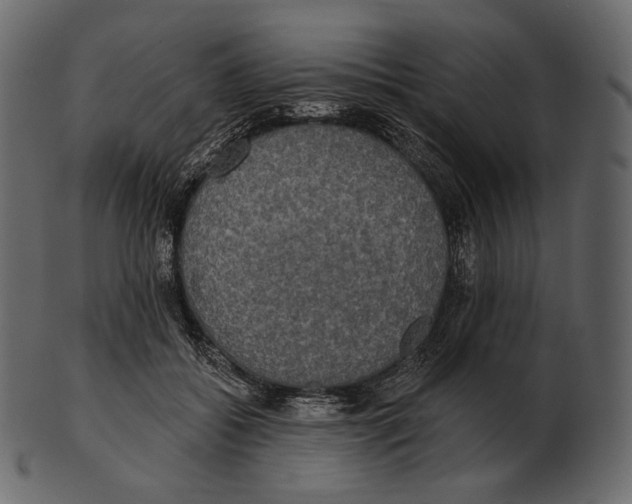 X0000100500556200807031943