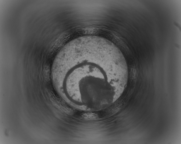 X0000100500557200807031943