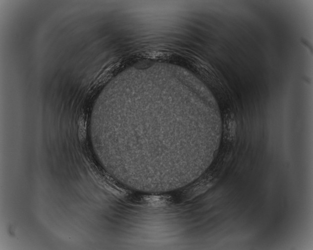 X0000100500558200807031943