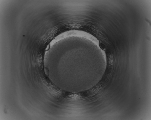 X0000100500559200807031943