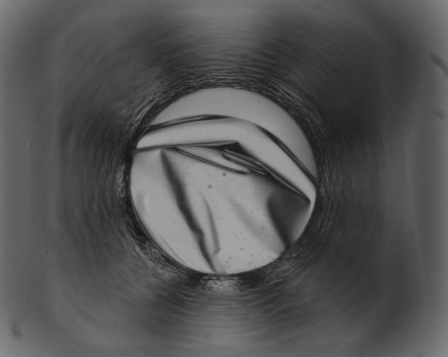 X0000100500560200807031943