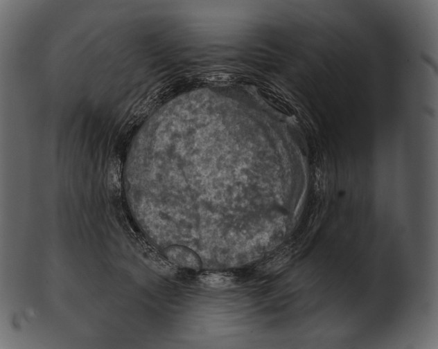 X0000100500561200807031943