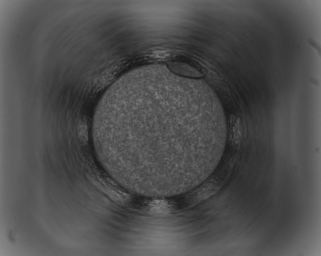 X0000100500562200807031943