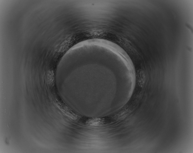 X0000100500563200807031943