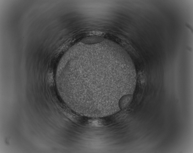 X0000100500564200807031943