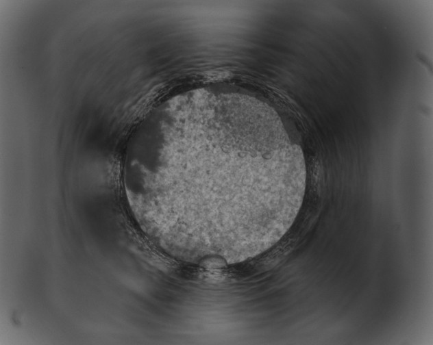 X0000100500565200807031943