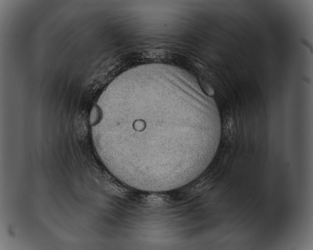 X0000100500566200807031943