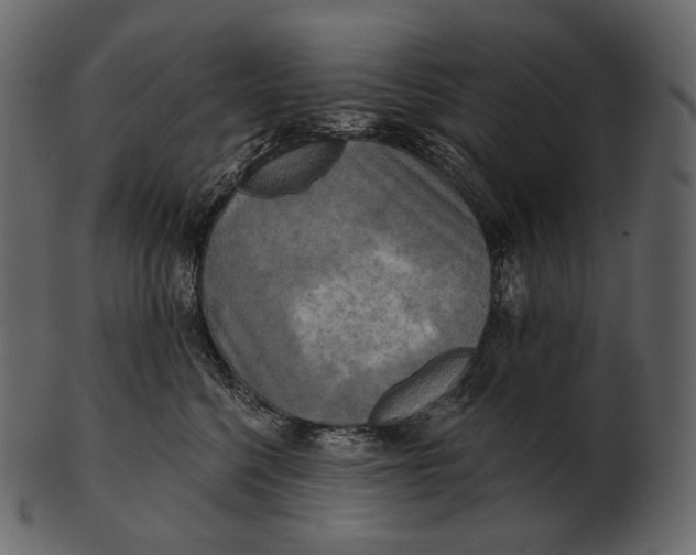 X0000100500568200807031943