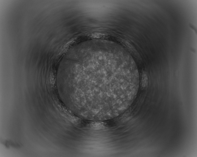 X0000100500569200807031943