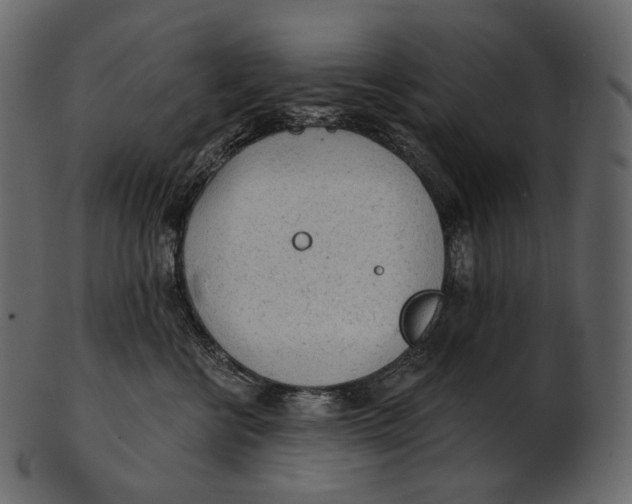 X0000100500570200807031943