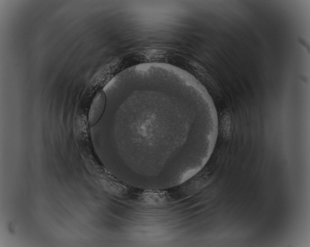 X0000100500571200807031943