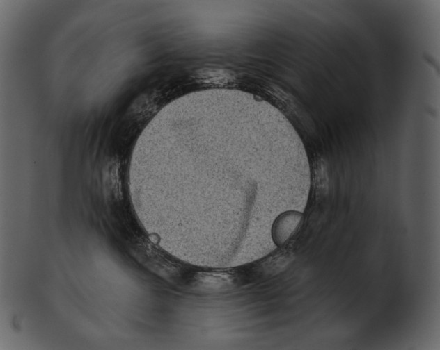 X0000100500572200807031943