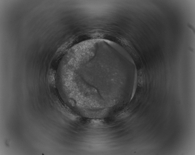 X0000100500573200807031943