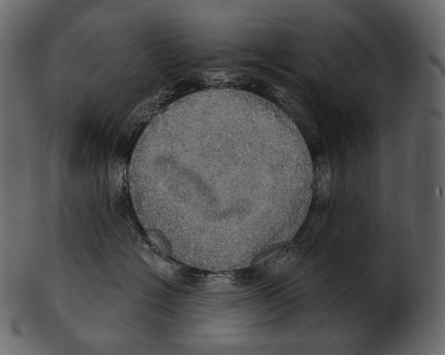 X0000100500574200807031943