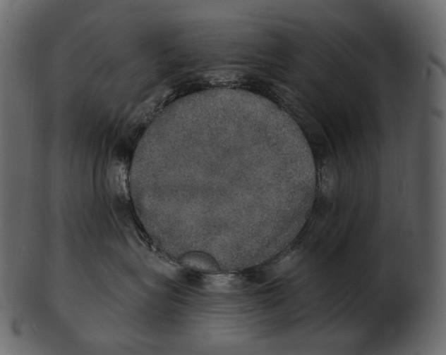 X0000100500575200807031944