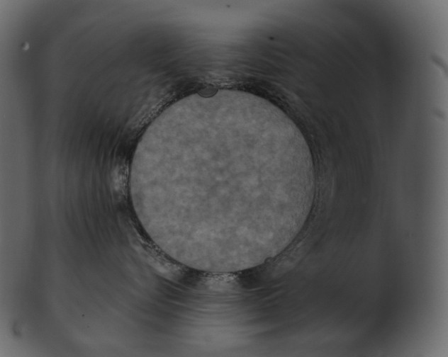 X0000100500576200807031944