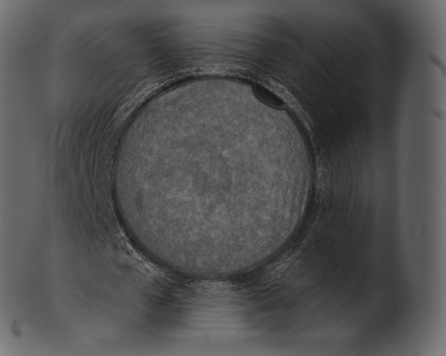 X0000100500577200807031943