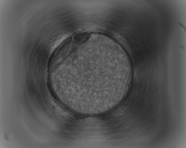 X0000100500578200807031943