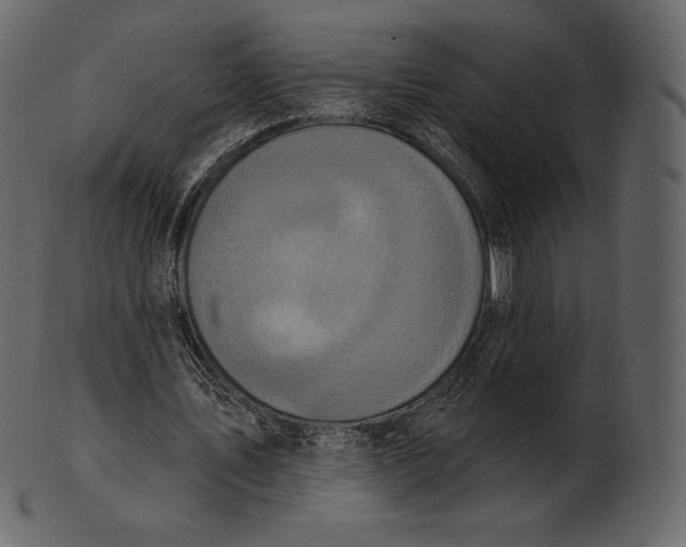 X0000100500579200807031943