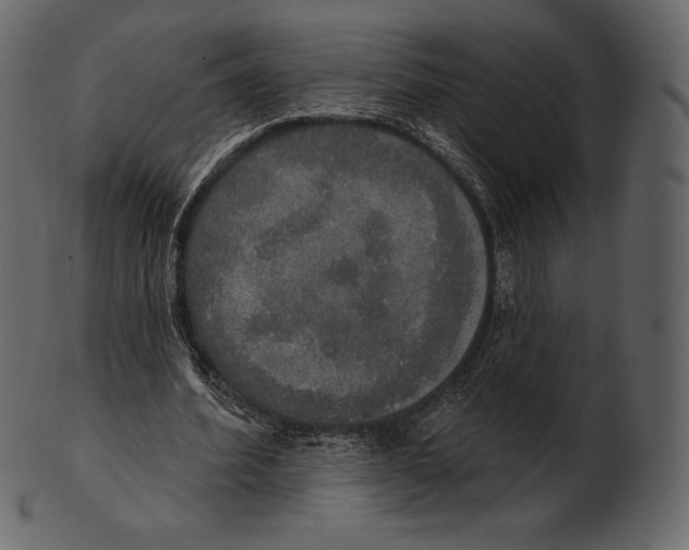 X0000100500580200807031943