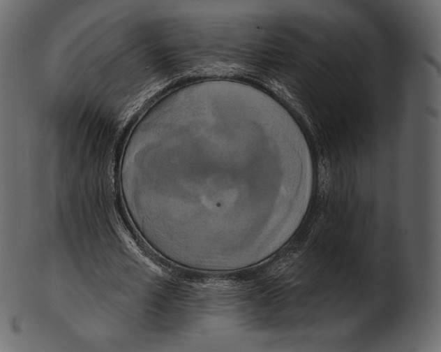 X0000100500581200807031943