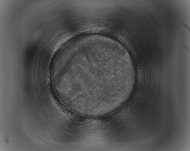 X0000100500582200807031943