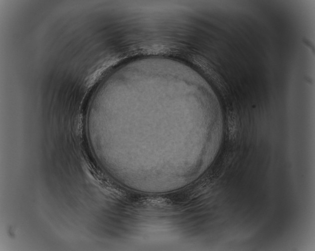 X0000100500583200807031943