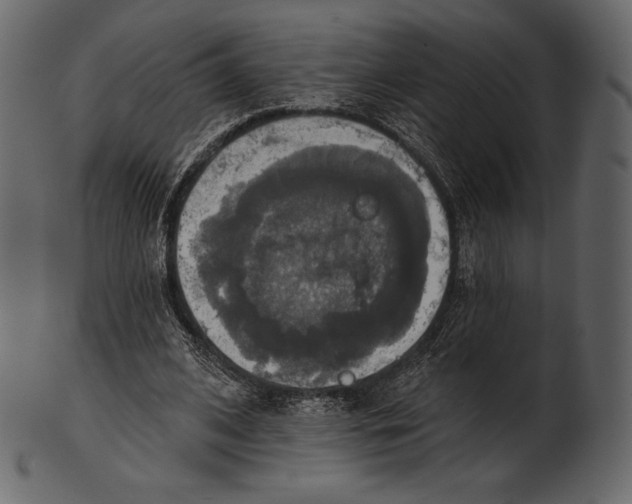 X0000100500584200807031943