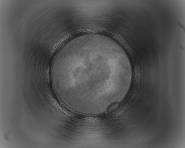 X0000100500585200807031943