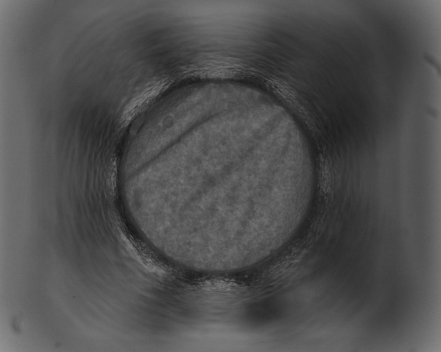 X0000100500586200807031943