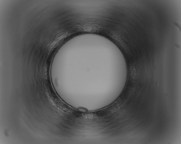 X0000100500587200807031943