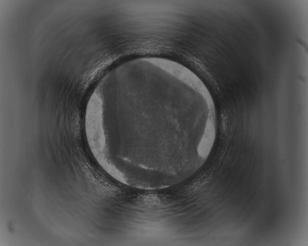 X0000100500588200807031943