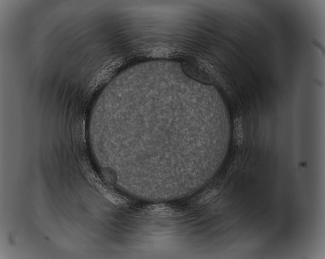 X0000100500589200807031943