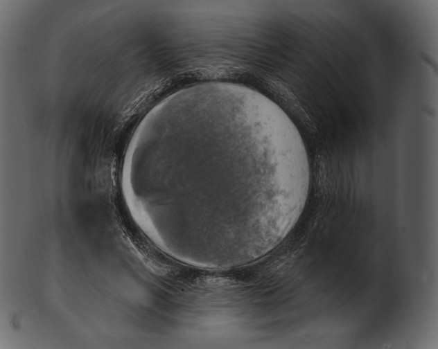 X0000100500590200807031943