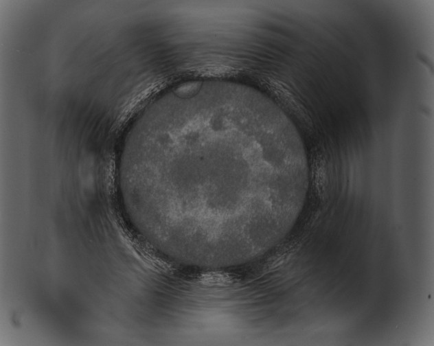 X0000100500591200807031943