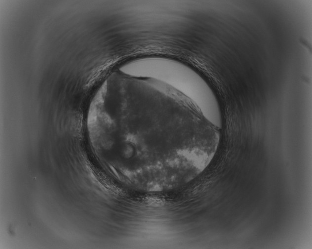 X0000100500592200807031943