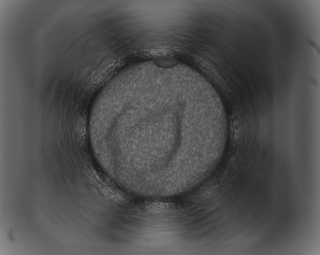 X0000100500593200807031943