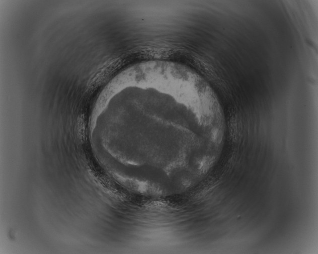 X0000100500594200807031943