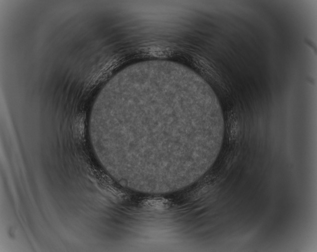 X0000100500595200807031943