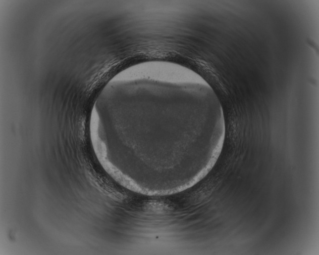 X0000100500596200807031943