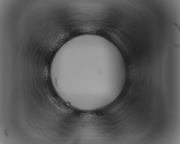 X0000100500597200807031943