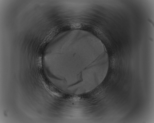 X0000100500598200807031943