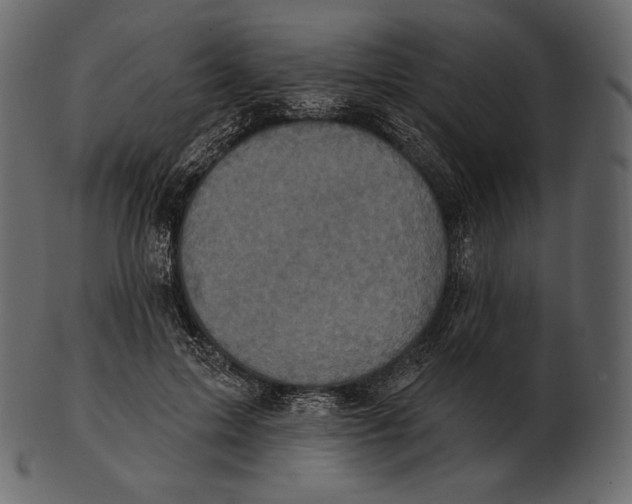 X0000100500599200807031943