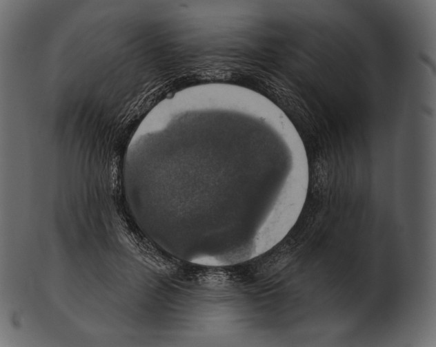 X0000100500600200807031943