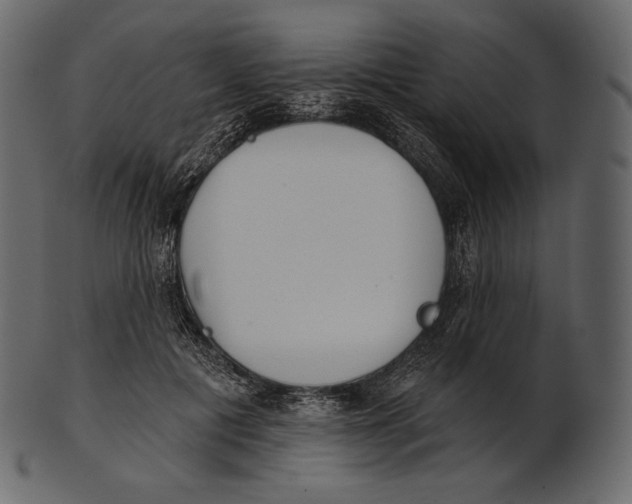 X0000100500601200807031943