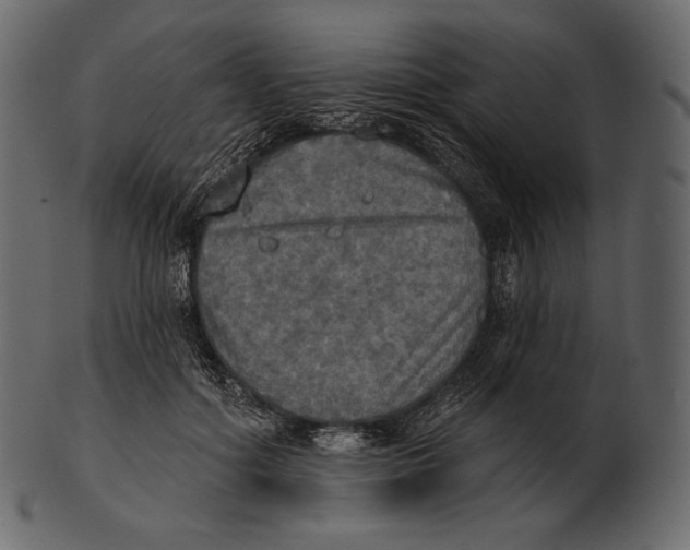 X0000100500602200807031942