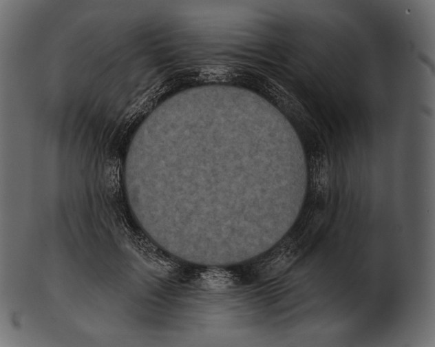 X0000100500603200807031942